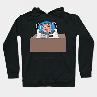 Galactic Secrets The Astronaut's Veiled Reality Hoodie